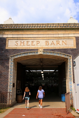 Iowa State Fair Sheep Barn 