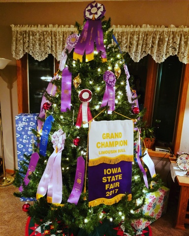 Cattle banners on the Christmas tree in Iowa 