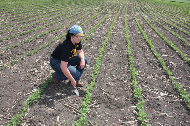 Insights - In conservation, every acre counts